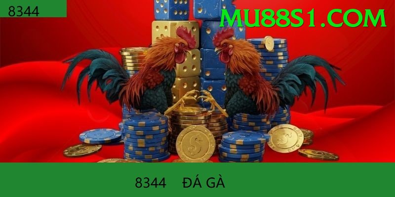 Đá Gà Trực Tiếp - xibet